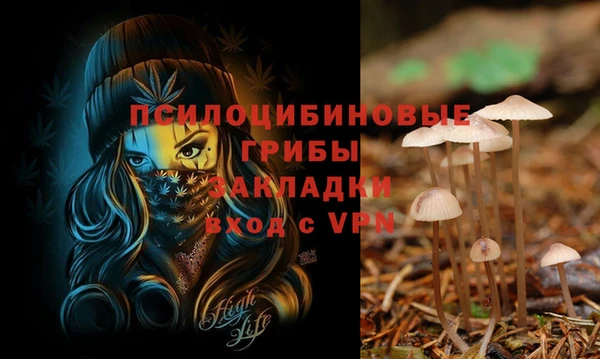 ALPHA PVP Беломорск