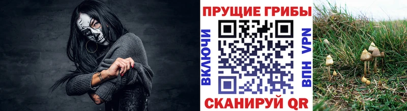 Галлюциногенные грибы Cubensis  где продают   Оренбург 